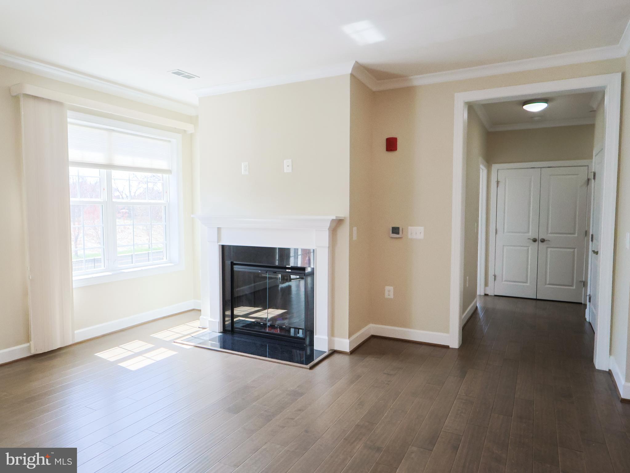 10530 Resort Road, Unit 102 Ellicott City, MD 21042 - Photo 6 of 41 Living Room with fireplace