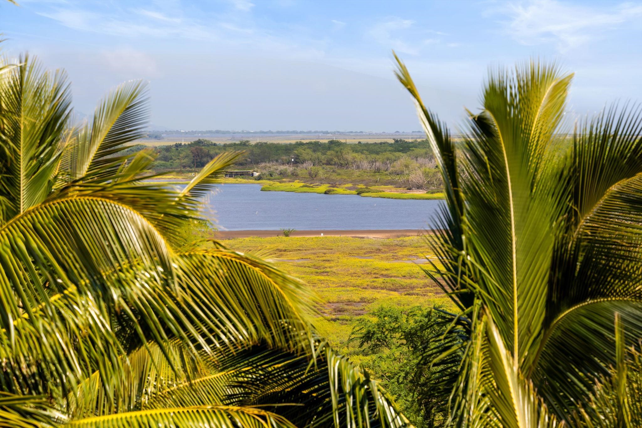 191 North Kihei Road, Unit 608 Kihei, HI 96753 - Photo 23 of 50