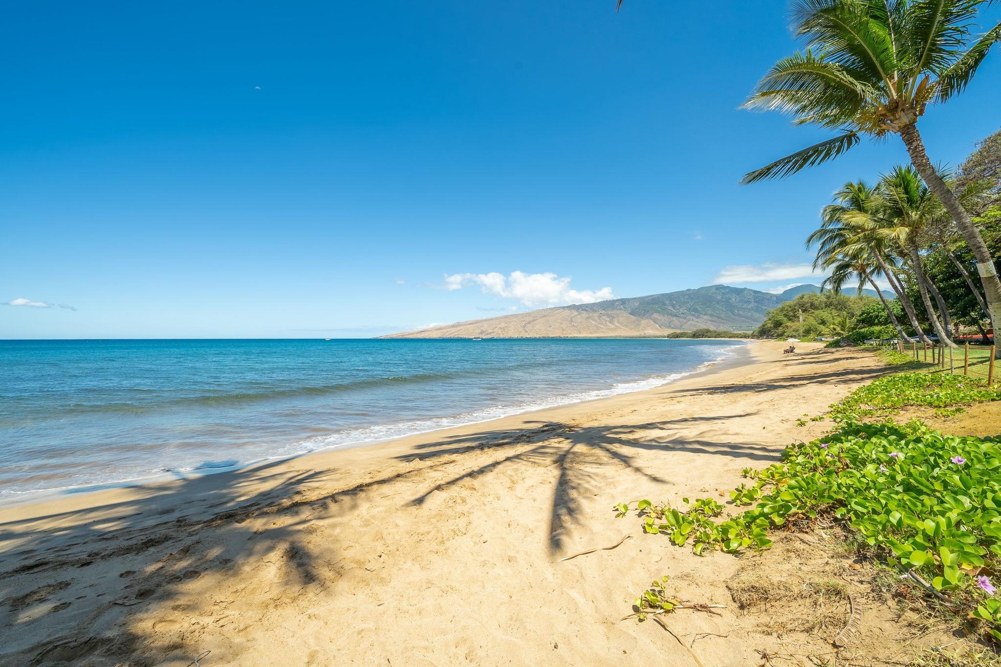 191 North Kihei Road, Unit 608 Kihei, HI 96753 - Photo 39 of 50