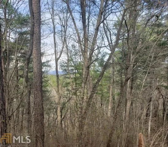 $39,000 | 0 Live Oak Lane, Lakemont, GA 30552