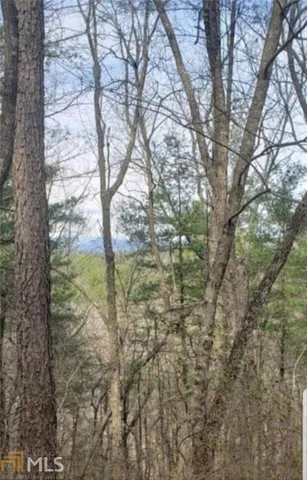 $39,000 | 0 Live Oak Lane, Lakemont, GA 30552