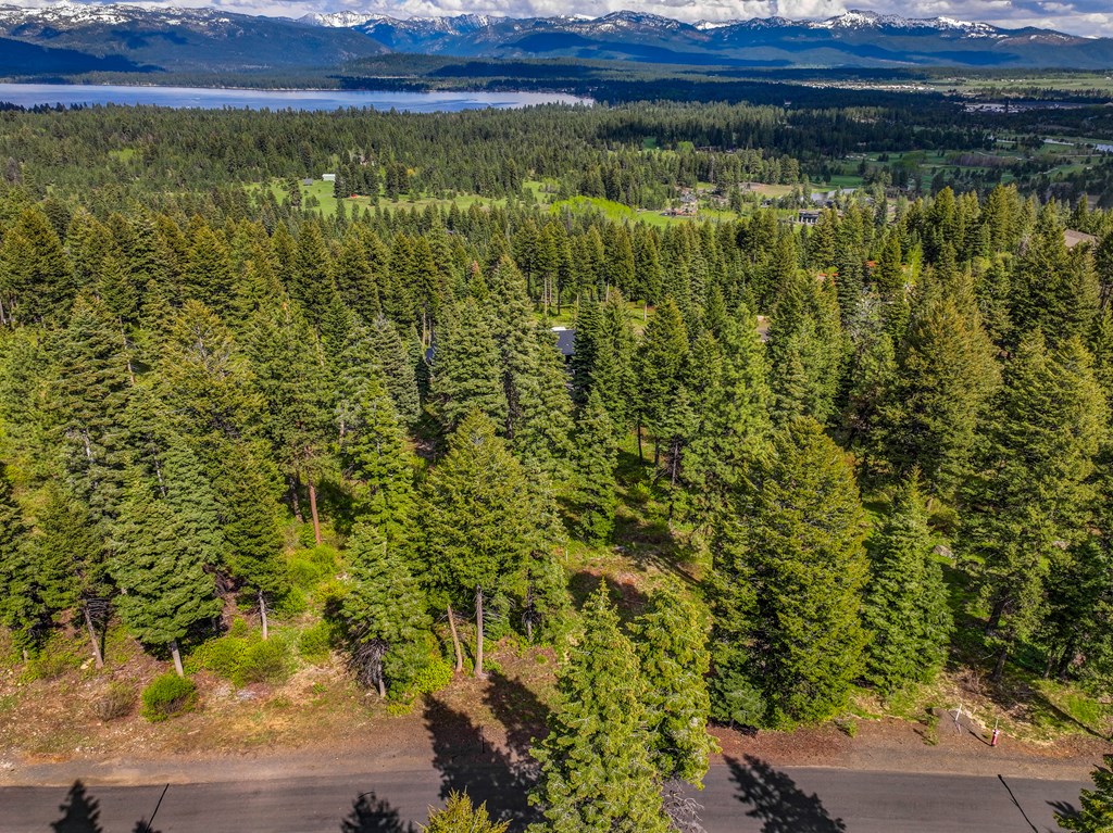 669 Migratory Rdg Way, Unit 70 McCall, ID 83638 - Photo 3 of 4