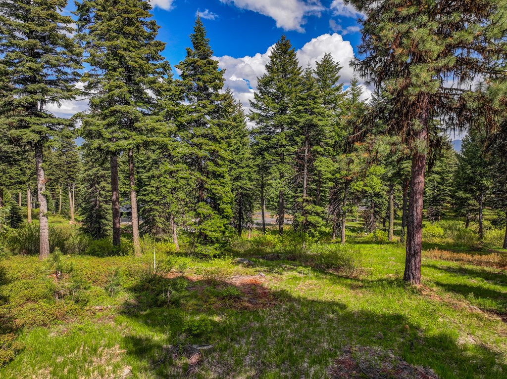 669 Migratory Rdg Way, Unit 70 McCall, ID 83638 - Photo 4 of 4