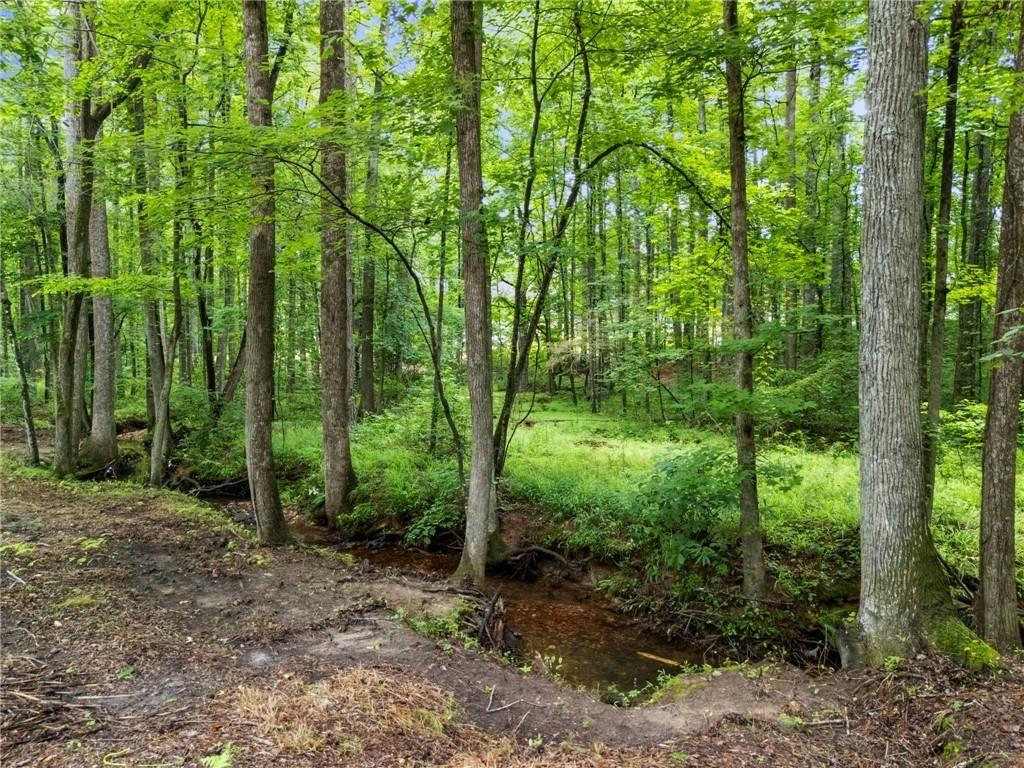 1945 Pine Mountain Road Northwest Kennesaw, GA 30152 - Photo 95 of 95