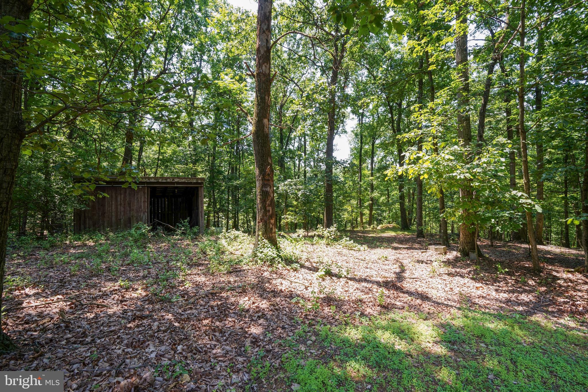 12810 Kending Lane Clear Spring, MD 21722 - Photo 58 of 64
