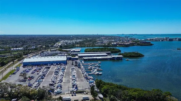 a view of backyard with large trees