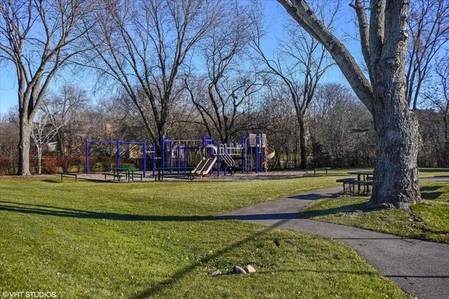 a view of a park with large trees