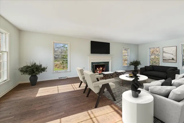 a living room with furniture a fireplace and a potted plant