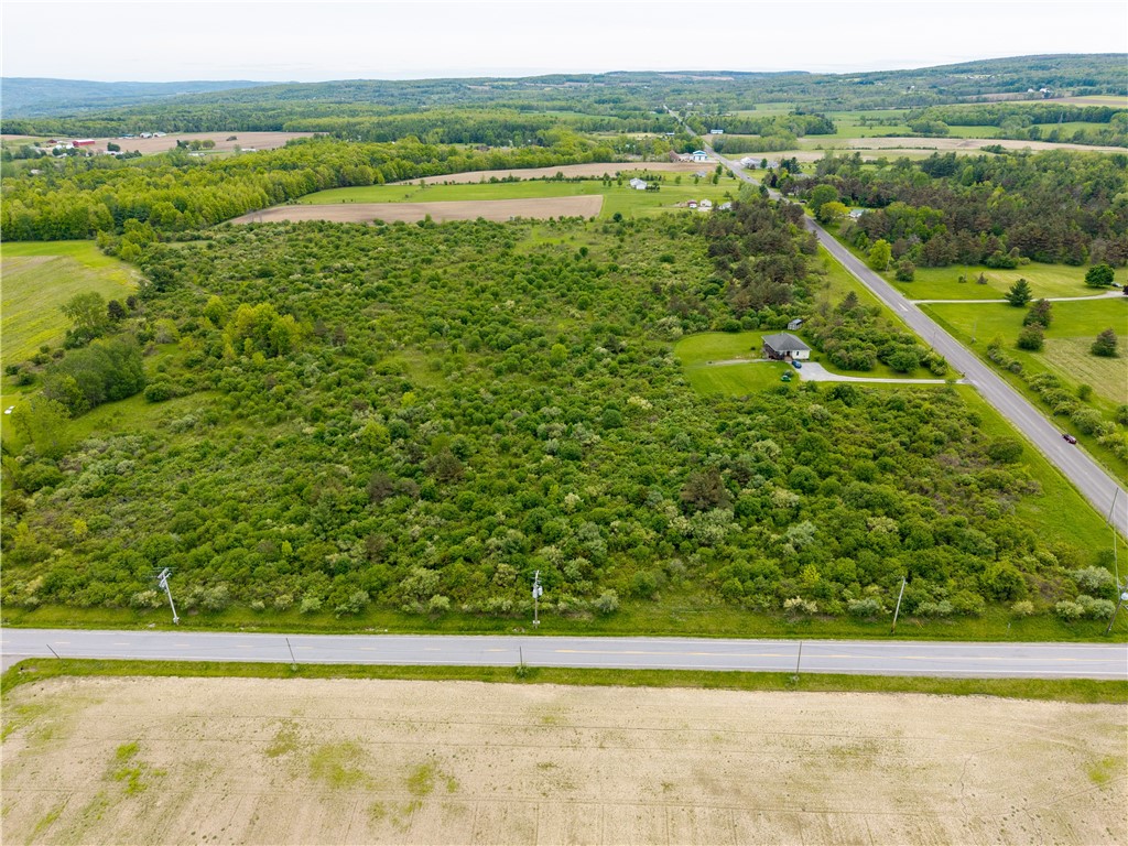 Rock Spring Hill Road Dansville, NY 14437 - Photo 6 of 20