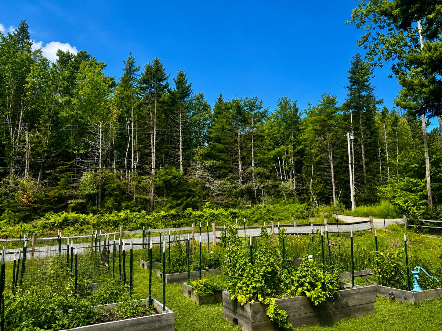 96 Dyer's Bay Road Steuben, ME 04680 - Photo 40 of 45 9