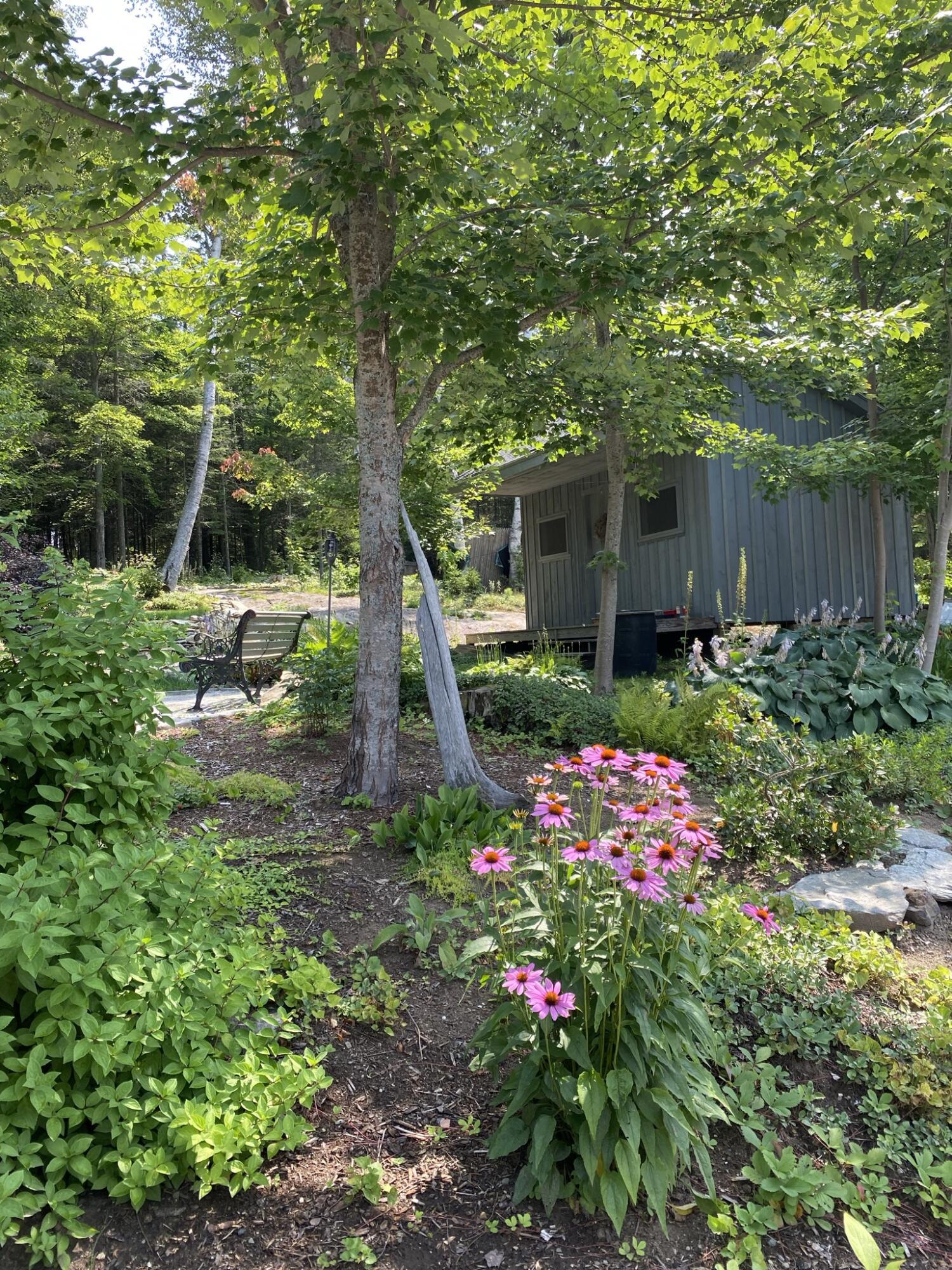 276 Thistle Street Upton, ME 04261 - Photo 15 of 80 IMG_4606