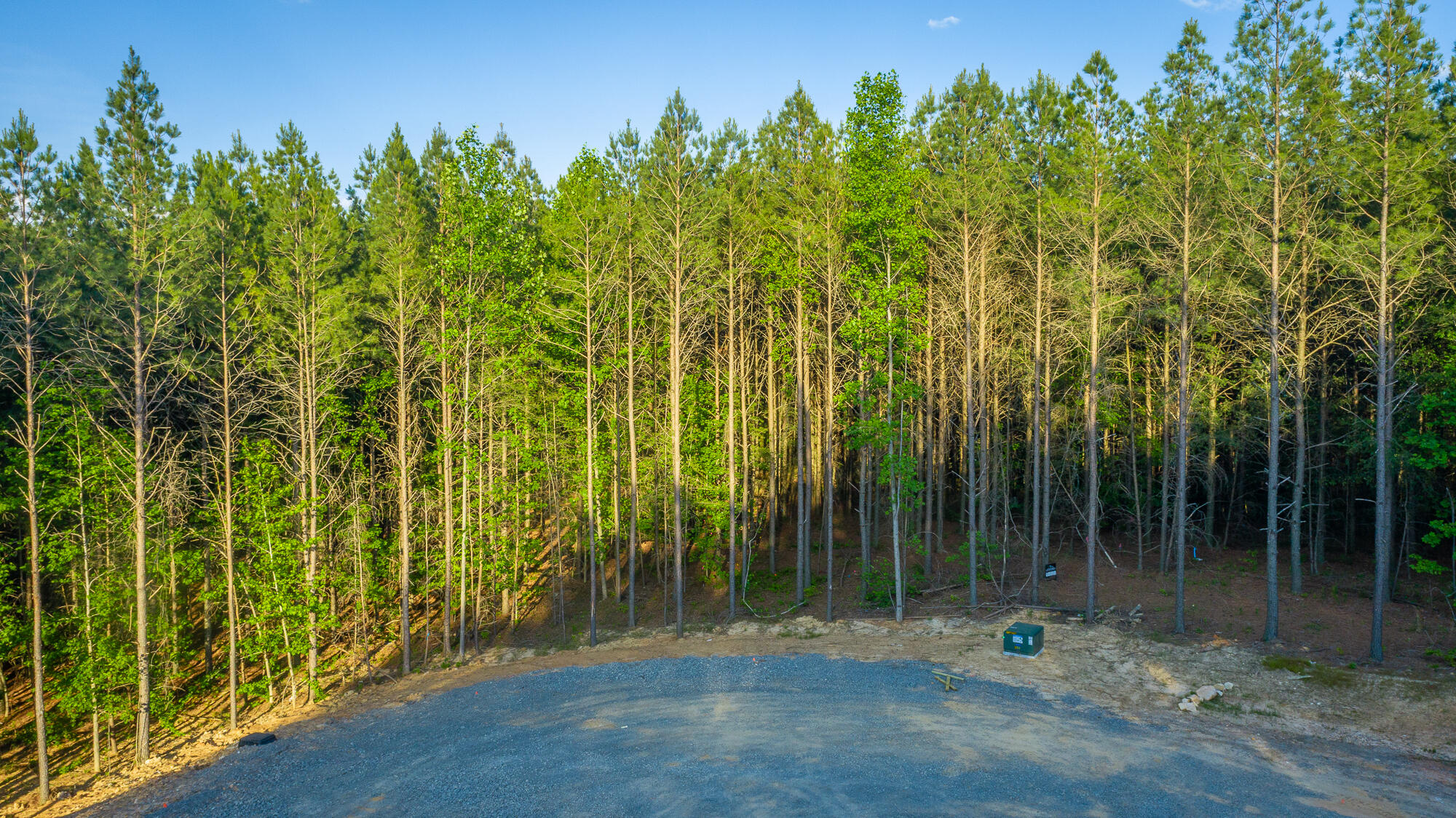 0 Back Basin Trail, Unit LOT 1244 Chattanooga, TN 37419 - Photo 5 of 119 0 Back Basin Trail - Lot 1244 HD-1