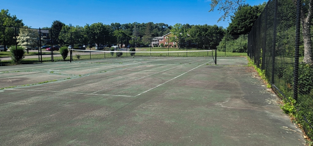 41 Bayberry Drive, Unit 4 Sharon, MA 02067 - Photo 25 of 27 a view of field with trees in the background