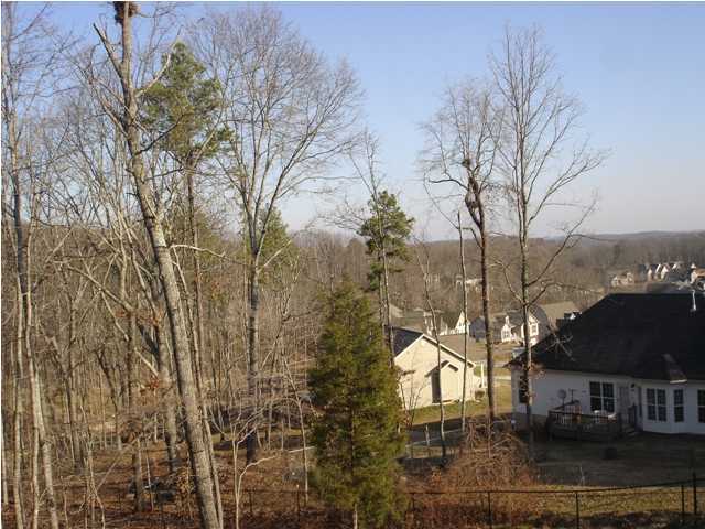 7375 British Road Ooltewah, TN 37363 - Photo 15 of 16 Additional Photo