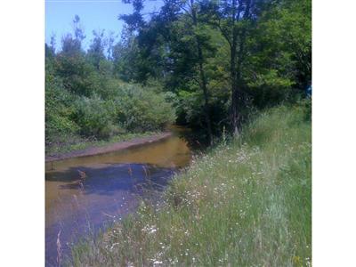 West River Ridge Road Pentwater, MI 49449 - Photo 1 of 7 Primary Photo