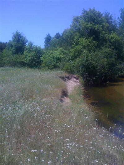 West River Ridge Road Pentwater, MI 49449 - Photo 3 of 7 Additional Photo