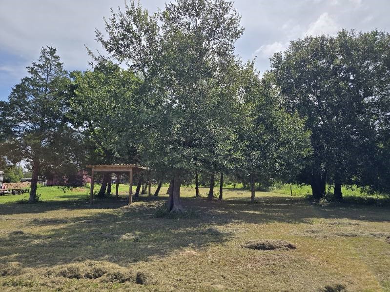 20714 Pearl Street Prairie View, TX 77484 - Photo 3 of 3 a view of a park with tree s