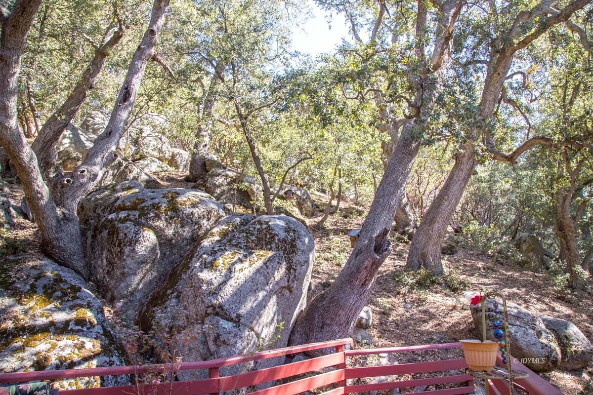 26540 Saunders Meadow Road Idyllwild, CA 92549 - Photo 31 of 34 a view of tree