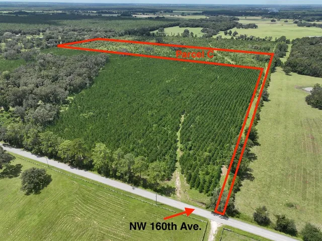 $746,750 | Parcel C Northwest 160th Avenue, Morriston, FL 32668