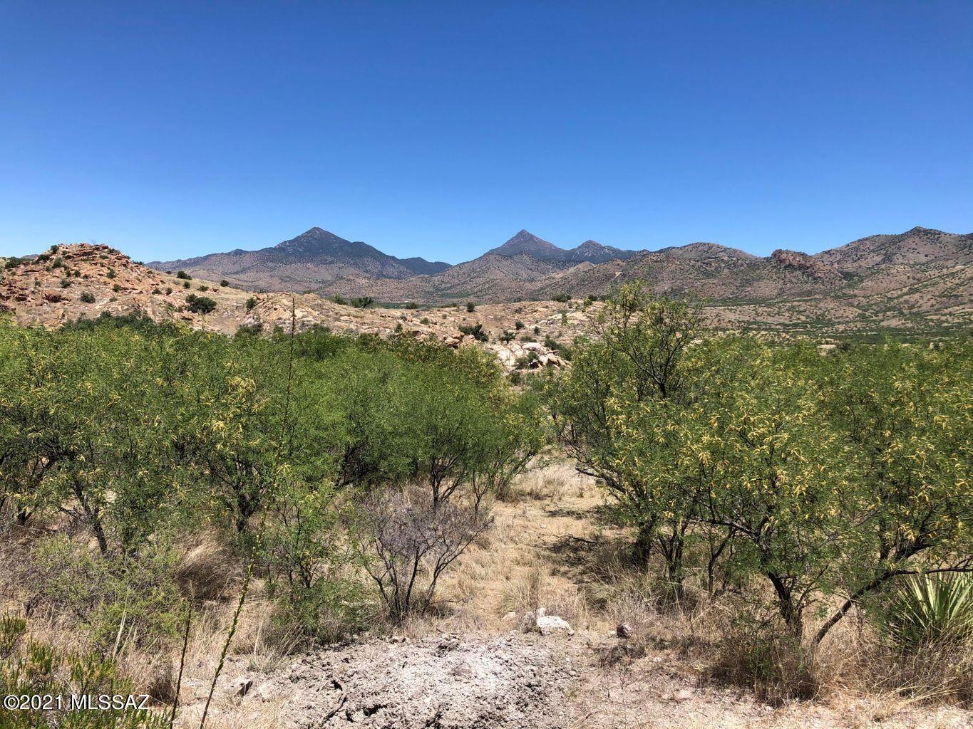 Salero Ranch Road, Unit 143/5 Rio Rico, AZ 85648 - Photo 4 of 16