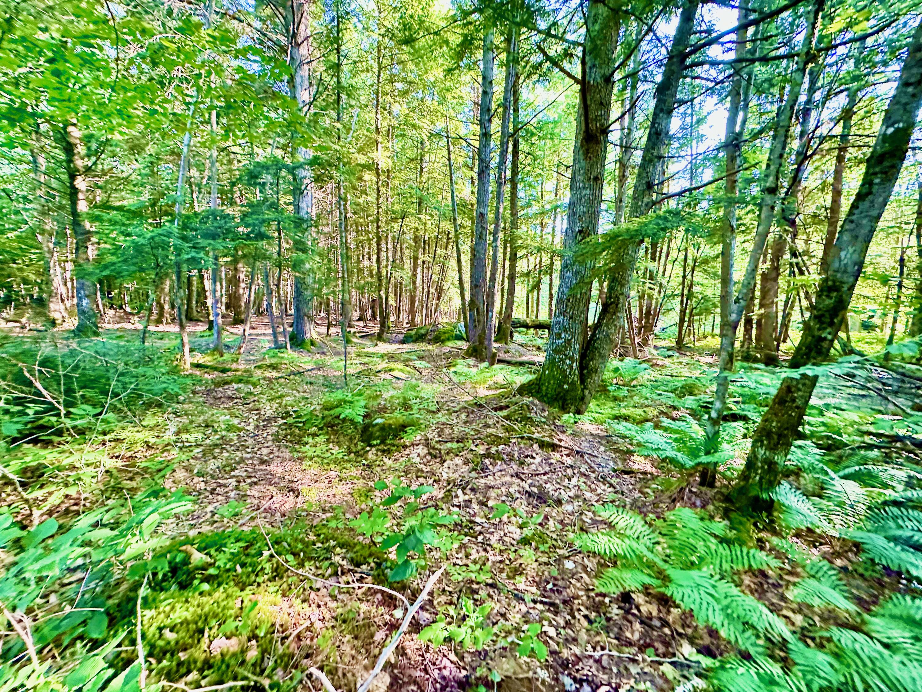 89 Poplar Point Road Mount Vernon, ME 04352 - Photo 34 of 113 BUILDING LOT