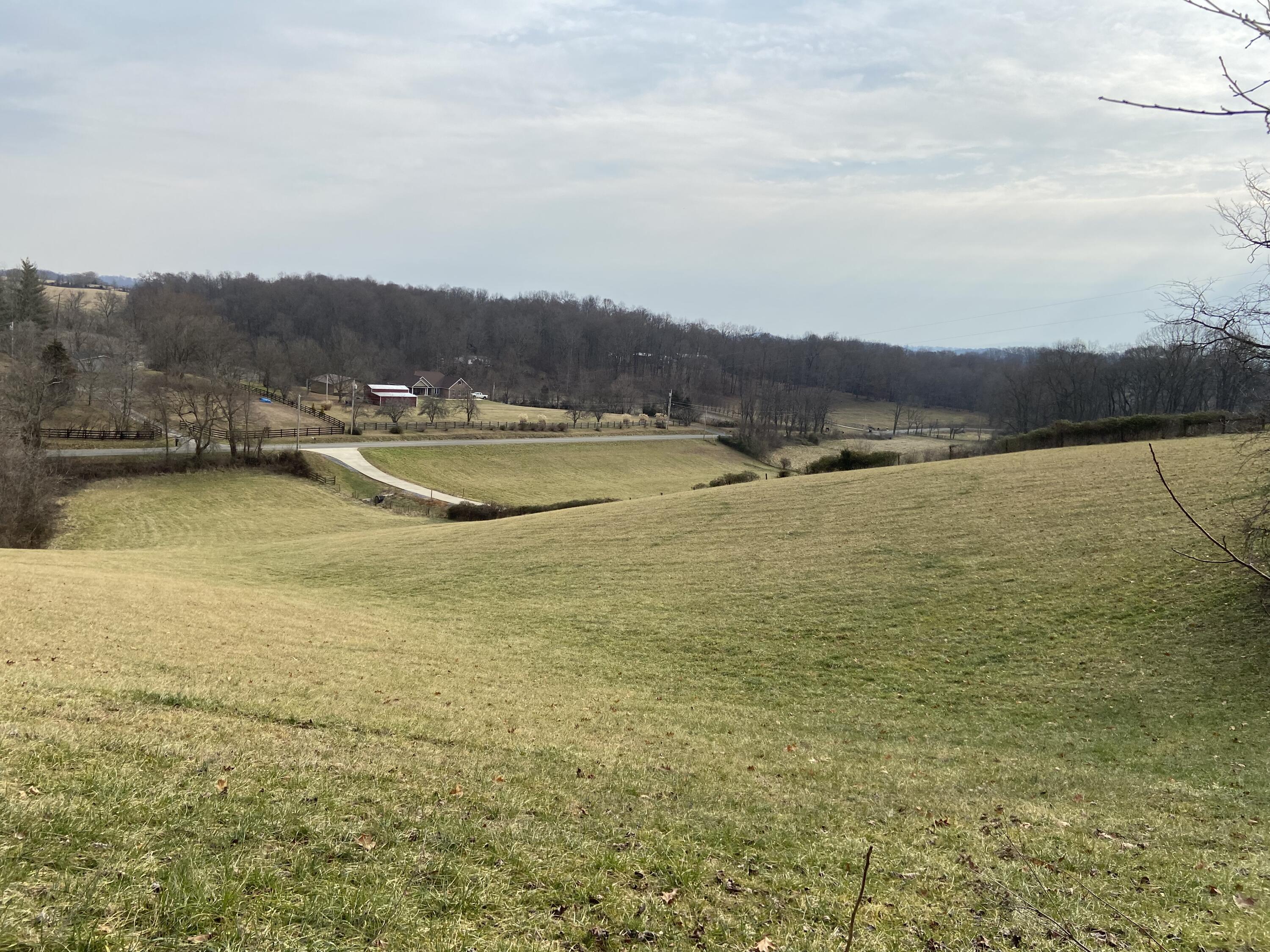 Tbd Glendale Road Jonesborough, TN 37659 - Photo 1 of 21 Photo 17