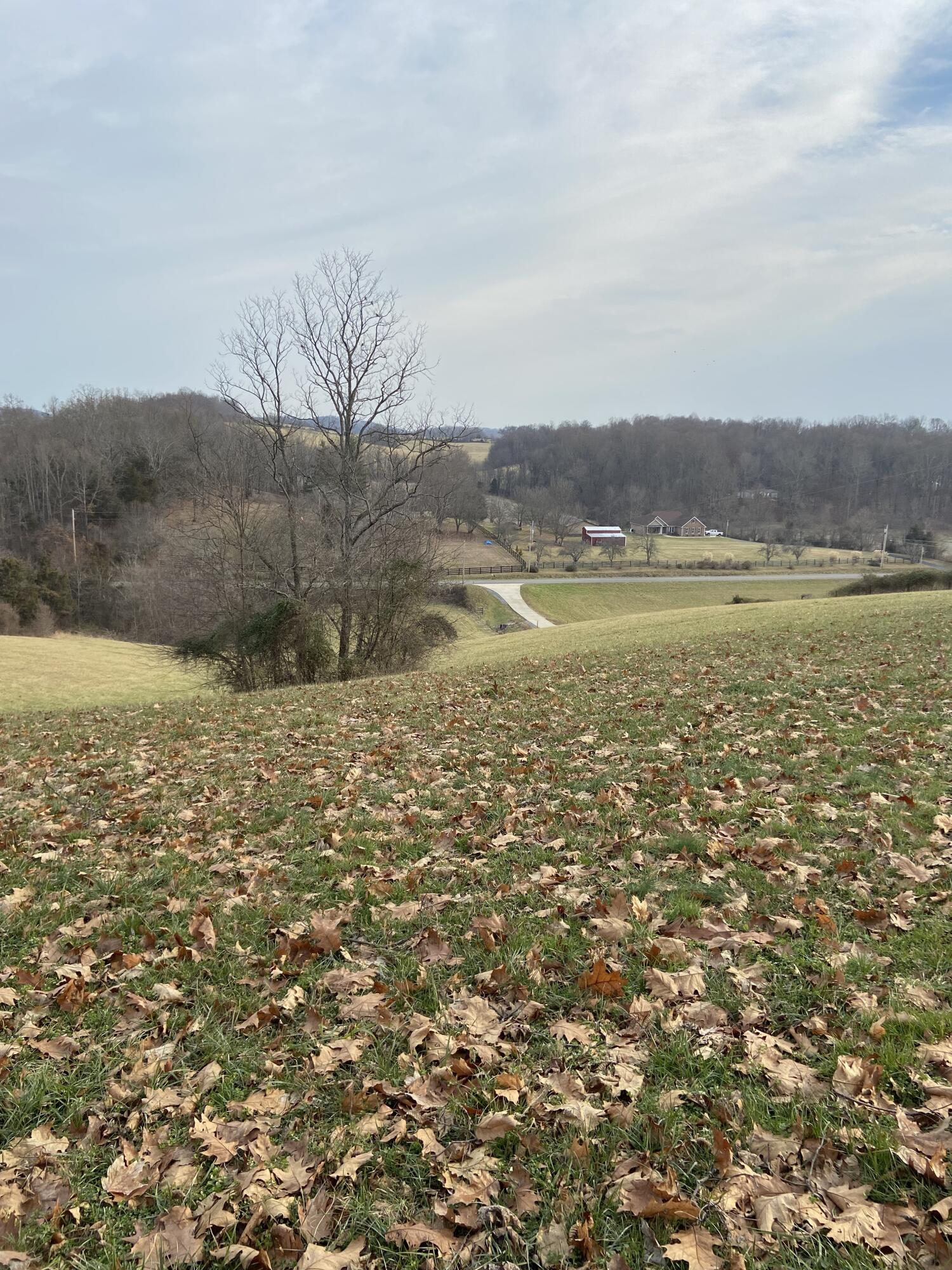 Tbd Glendale Road Jonesborough, TN 37659 - Photo 3 of 21 Photo 1