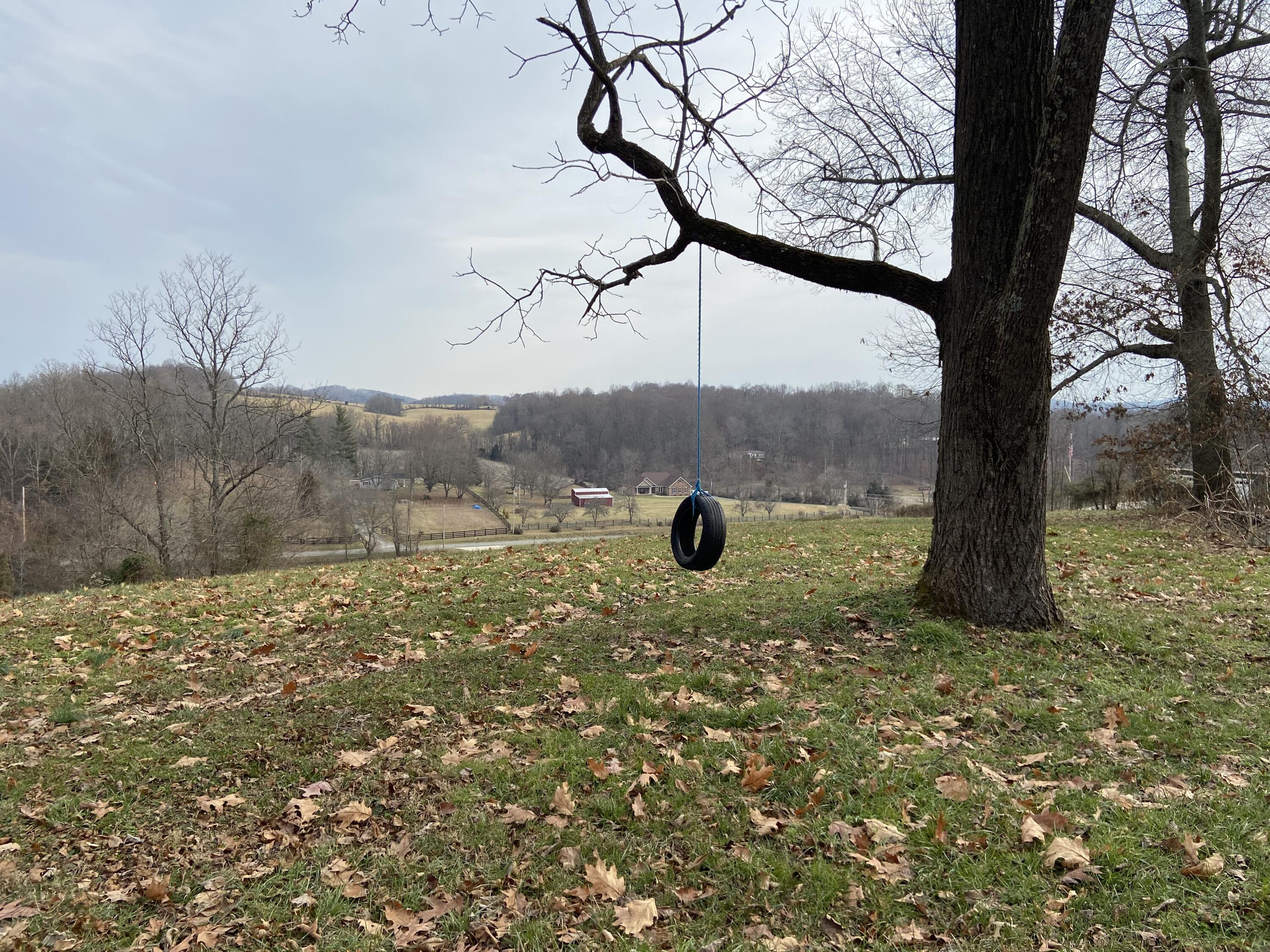 Tbd Glendale Road Jonesborough, TN 37659 - Photo 4 of 21 Photo 25