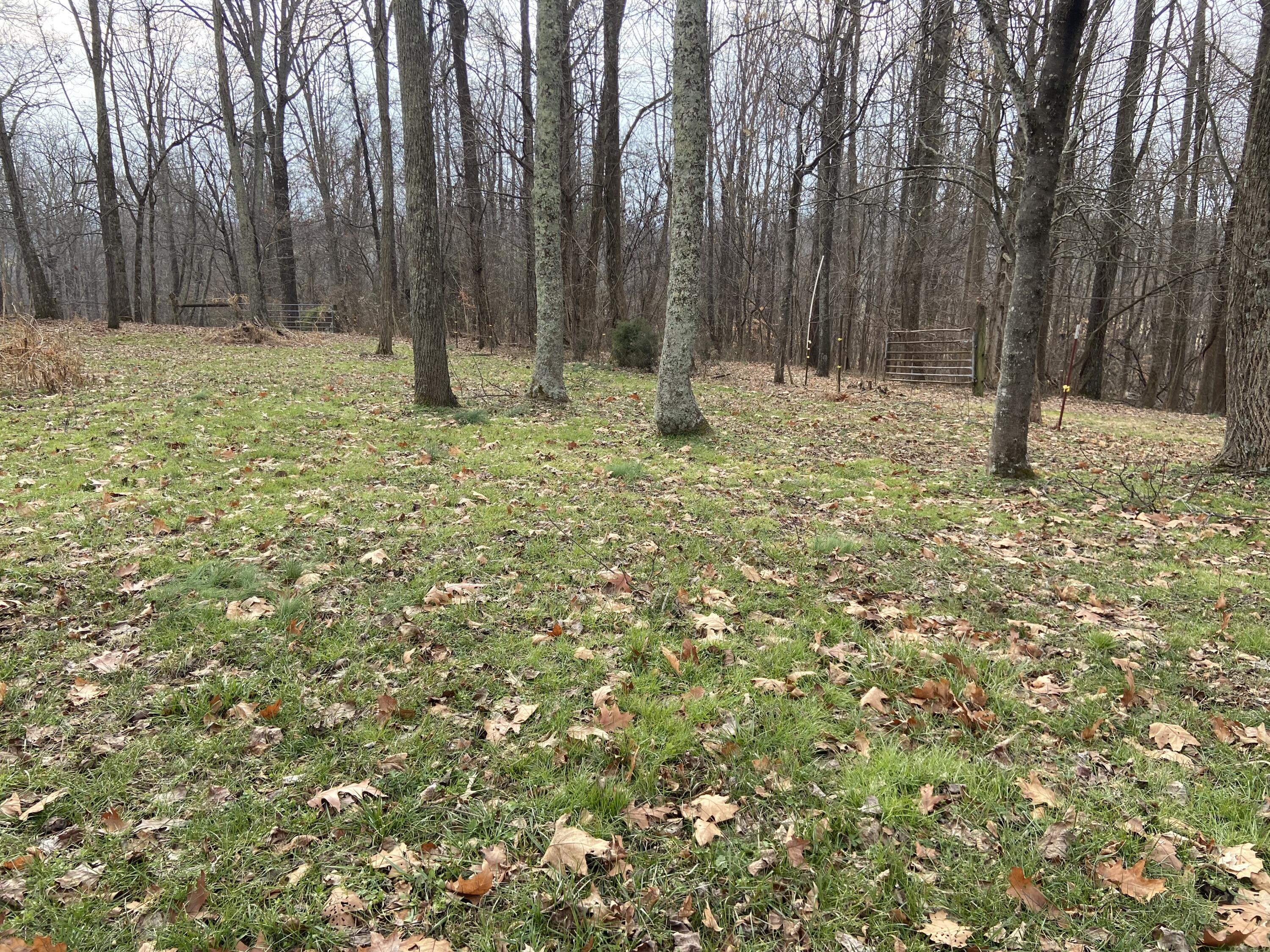 Tbd Glendale Road Jonesborough, TN 37659 - Photo 6 of 21 Photo 23