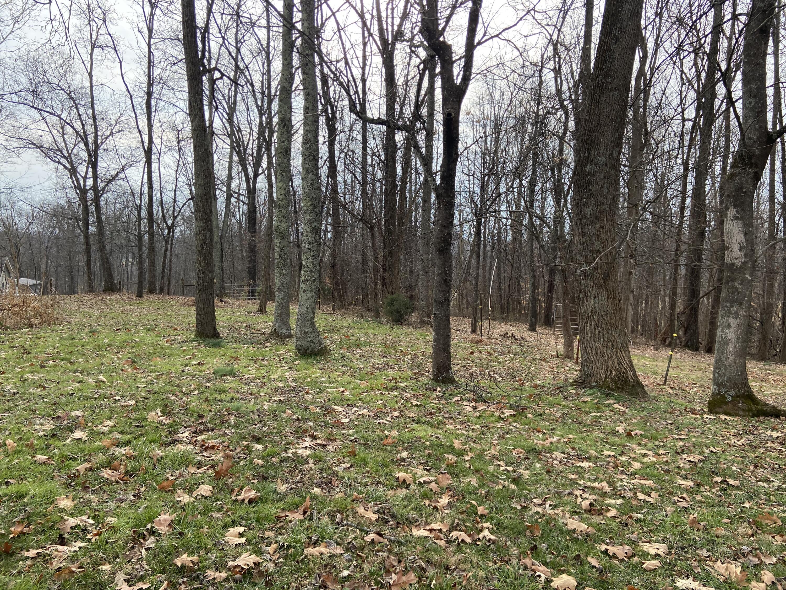 Tbd Glendale Road Jonesborough, TN 37659 - Photo 7 of 21 Photo 24