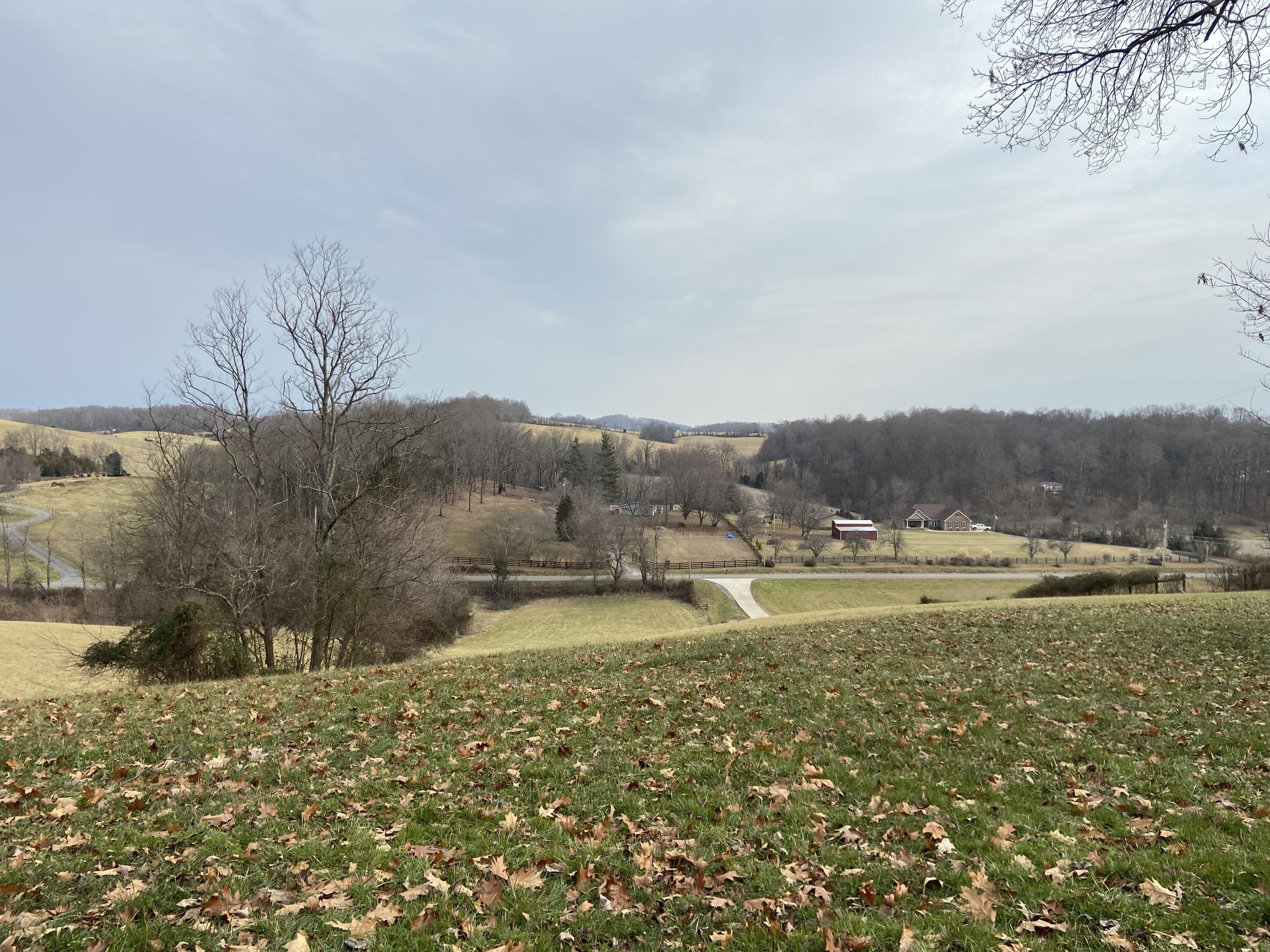 Tbd Glendale Road Jonesborough, TN 37659 - Photo 8 of 21 Photo 21