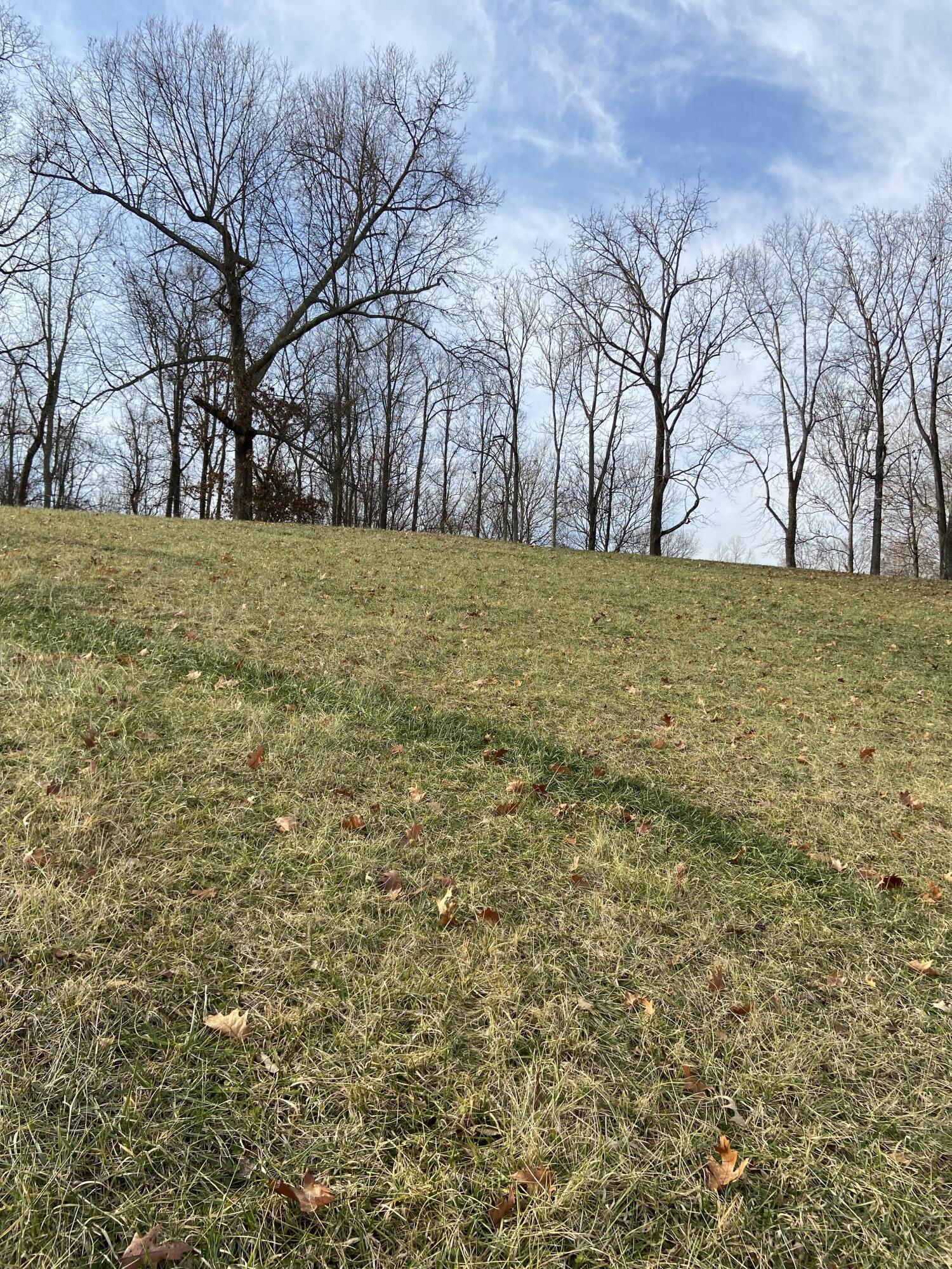 Tbd Glendale Road Jonesborough, TN 37659 - Photo 10 of 21 Photo 3