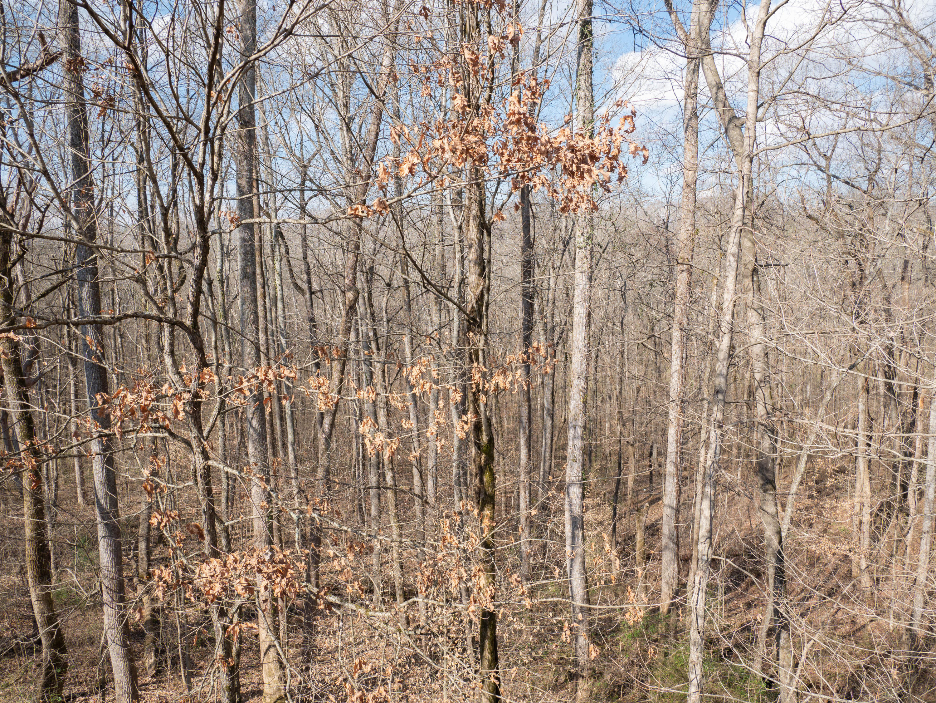 151 Lakeview Circle Clinton, TN 37716 - Photo 6 of 25 P1050943