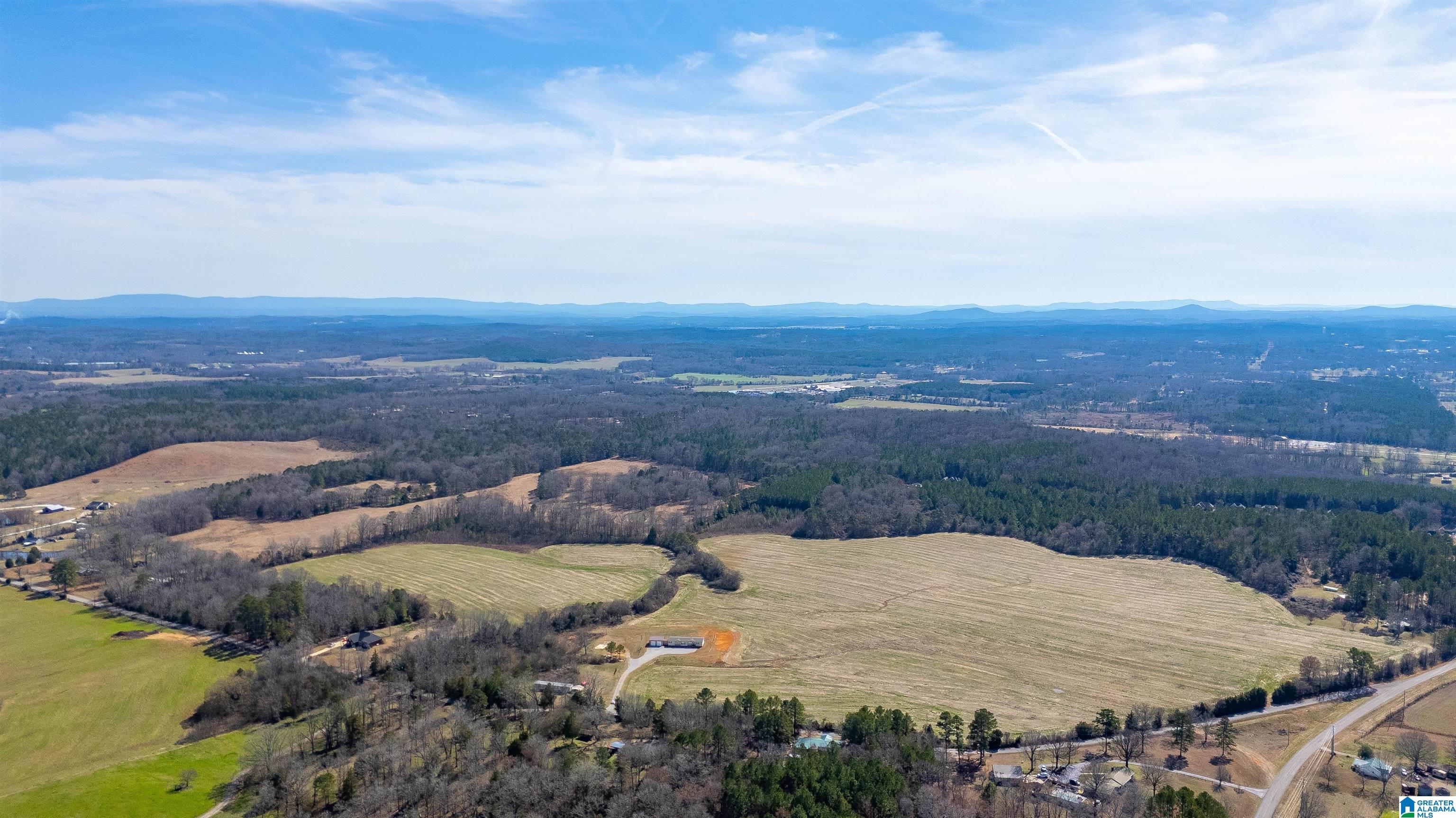 0 Brooks Lake Road, Unit 1 Lincoln, AL 35096 - Photo 1 of 10