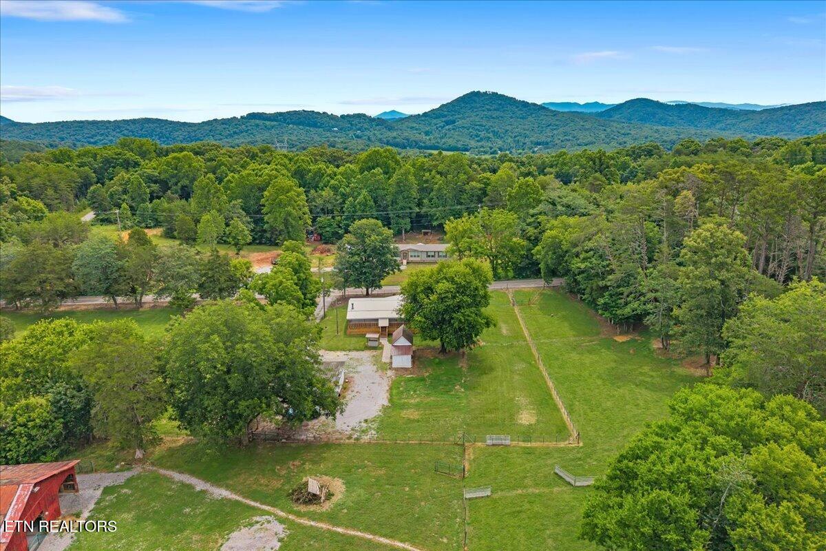 1091 Fairview Road Tellico Plains, TN 37385 - Photo 30 of 32 33-1091 Fairview-33