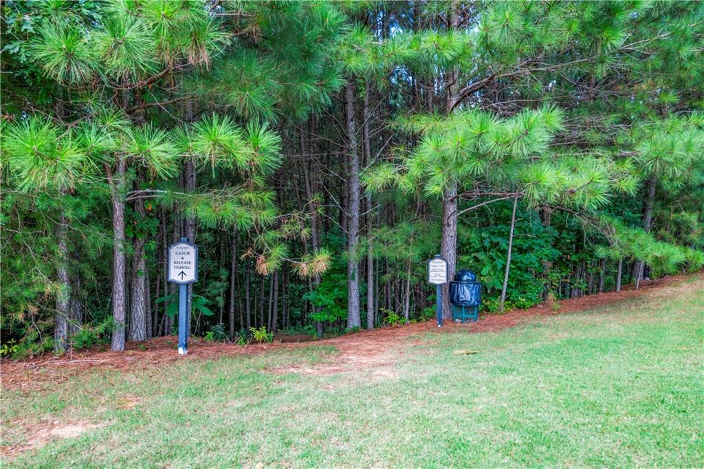 150 Jaime Drive Canton, GA 30114 - Photo 34 of 34 a view of a yard with plants and large trees