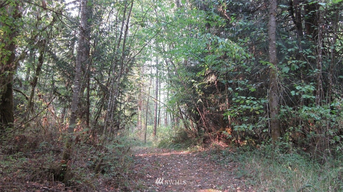 003 Collins Road Toledo, WA 98591 - Photo 14 of 24