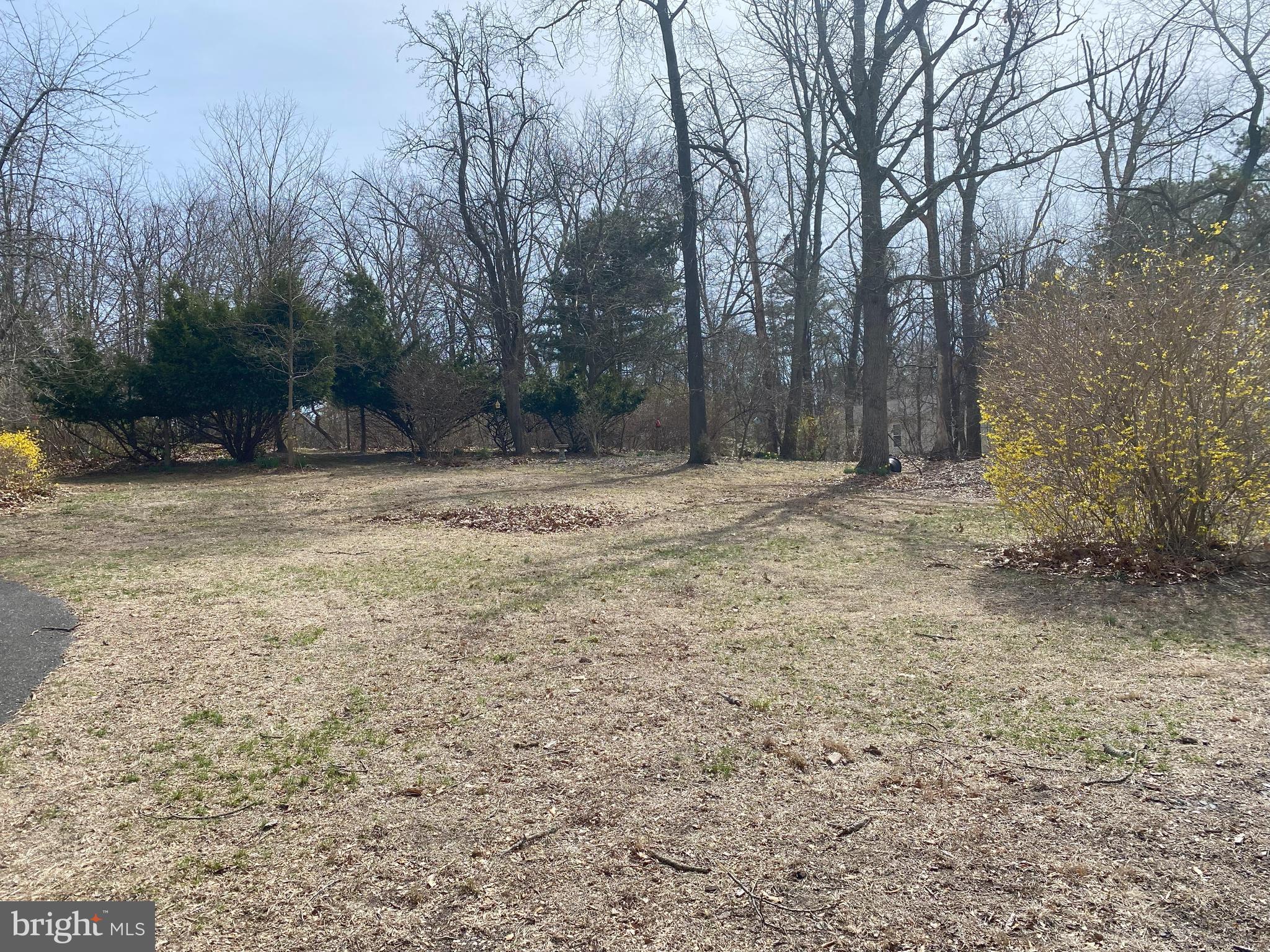 850 Jarvis Road Sicklerville, NJ 08081 - Photo 3 of 9 a view of dirt yard with trees