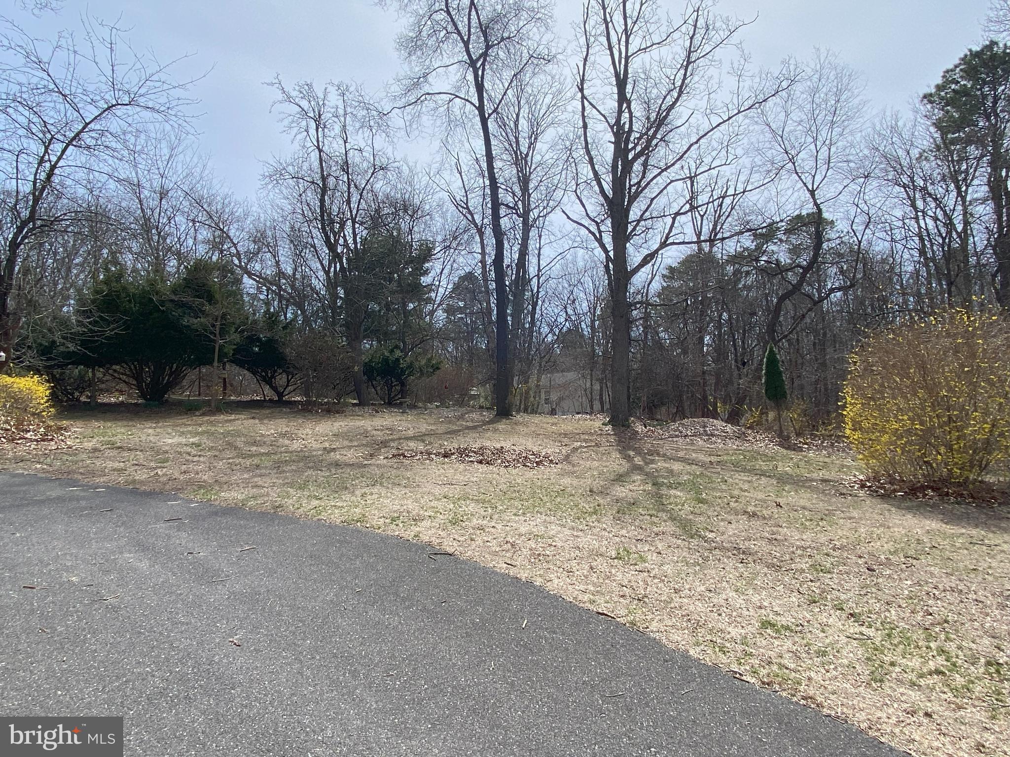 850 Jarvis Road Sicklerville, NJ 08081 - Photo 4 of 9 a view of space covered with snow in front of house