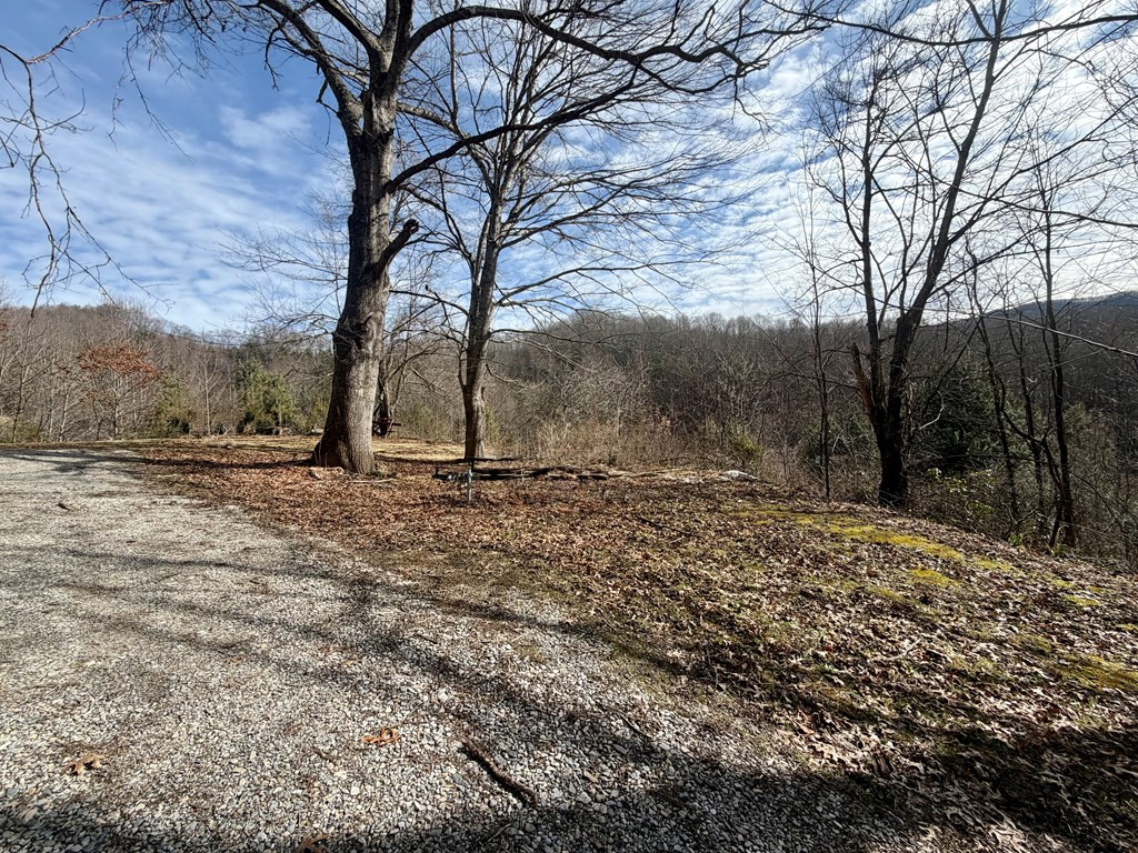 682 Long Branch Road Topton, NC 28781 - Photo 3 of 28 Gallery Image 3