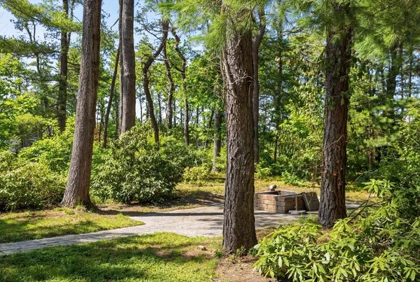 a view of a yard with large trees
