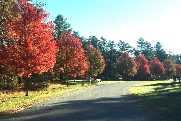 a view of swimming pool with a yard