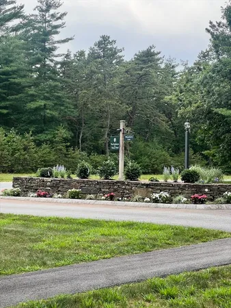 a view of a park with plants and trees
