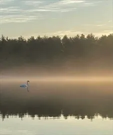 a view of ocean view