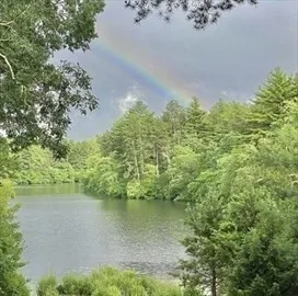 a view of a lake from a yard