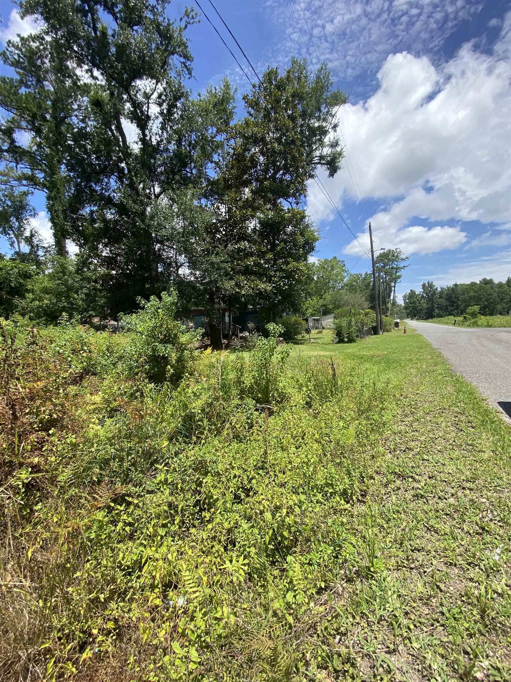 Southwest Main Street Greenville, FL 32331 - Photo 2 of 11