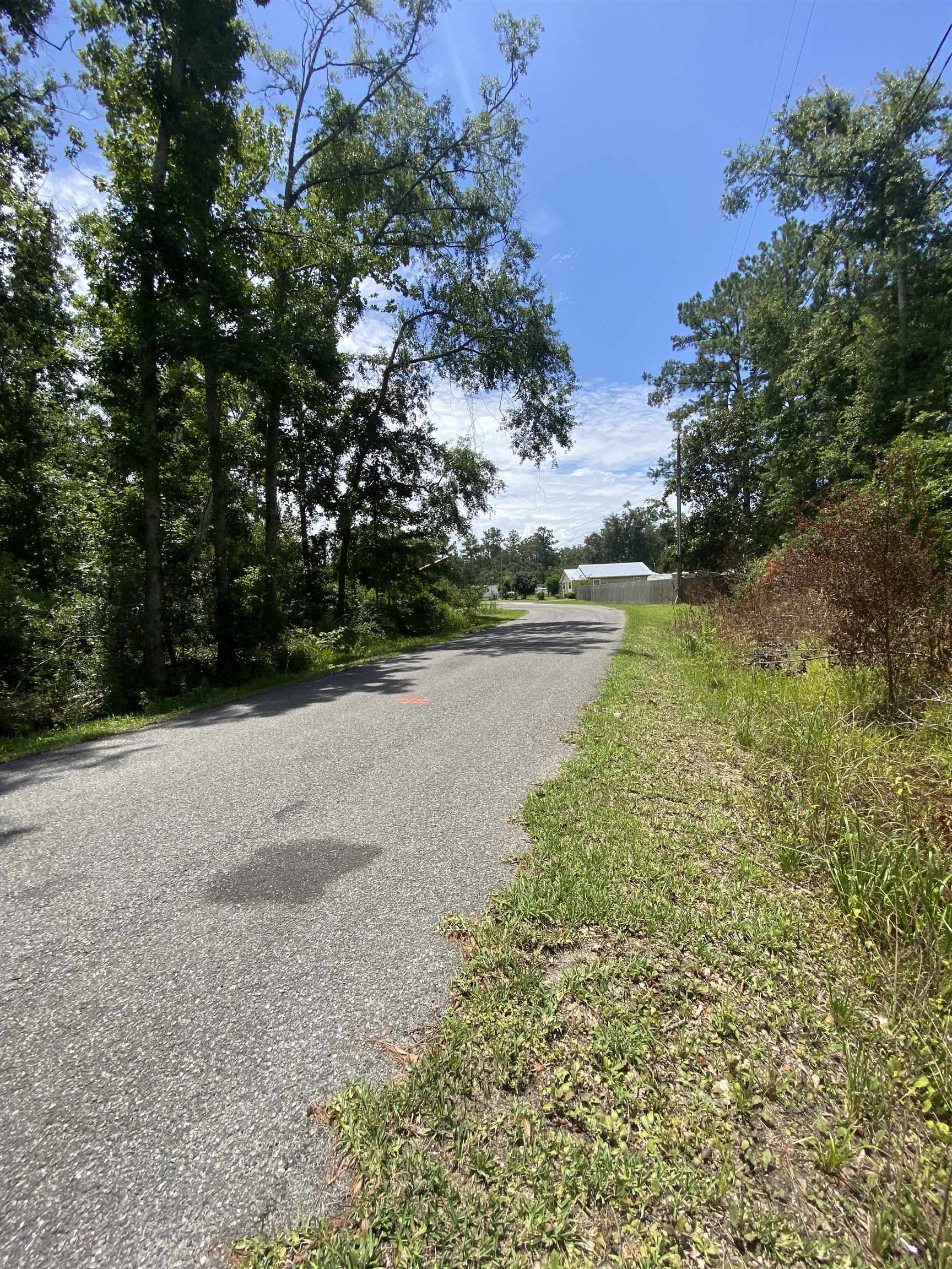 Southwest Main Street Greenville, FL 32331 - Photo 3 of 11