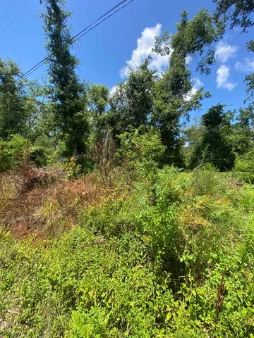 $7,000 | Southwest Main Street, Greenville, FL 32331