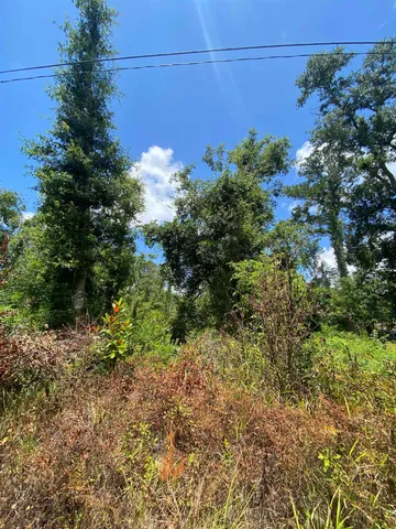 $7,000 | Southwest Main Street, Greenville, FL 32331