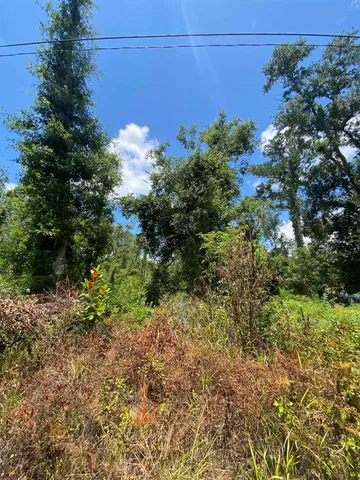 $7,000 | Southwest Main Street, Greenville, FL 32331